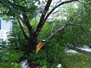 Split tree repair